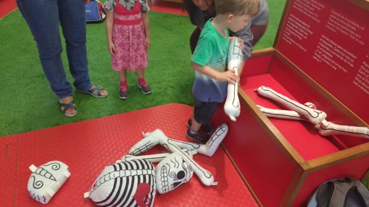 IMG_20170309_140035514