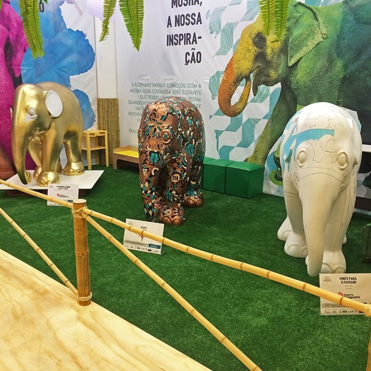 19379774_361076470973477_687821686556327936_n(1)