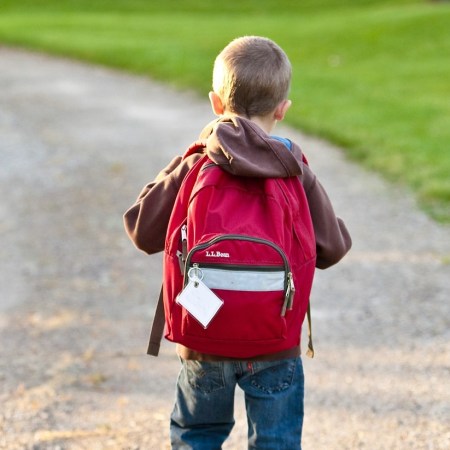 Pais que não mandarem filhos à escola podem ser punidos?