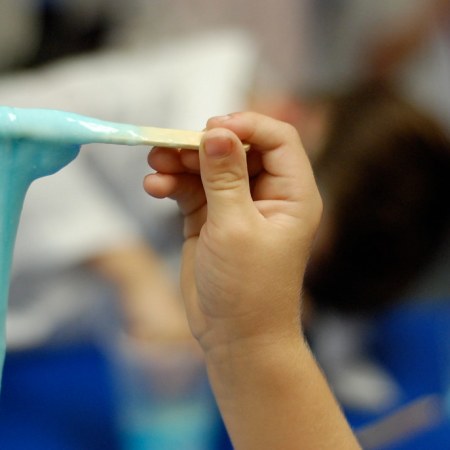 Slime / Foto: Josh Hallet - Flickr