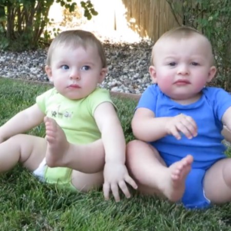 Bebês na grama / Foto: Reprodução