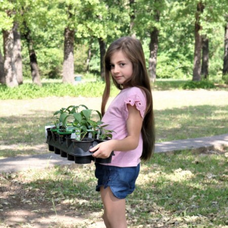 consumo consciente com as crianças